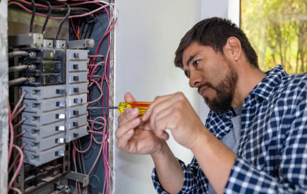 Best Electric Panel Repair  in Graysville, AL